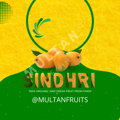 Sindhri Mango Multan Fruits