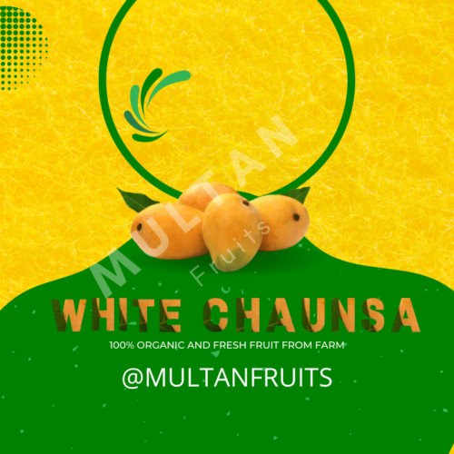 White Chaunsa Mango Multan Fruits